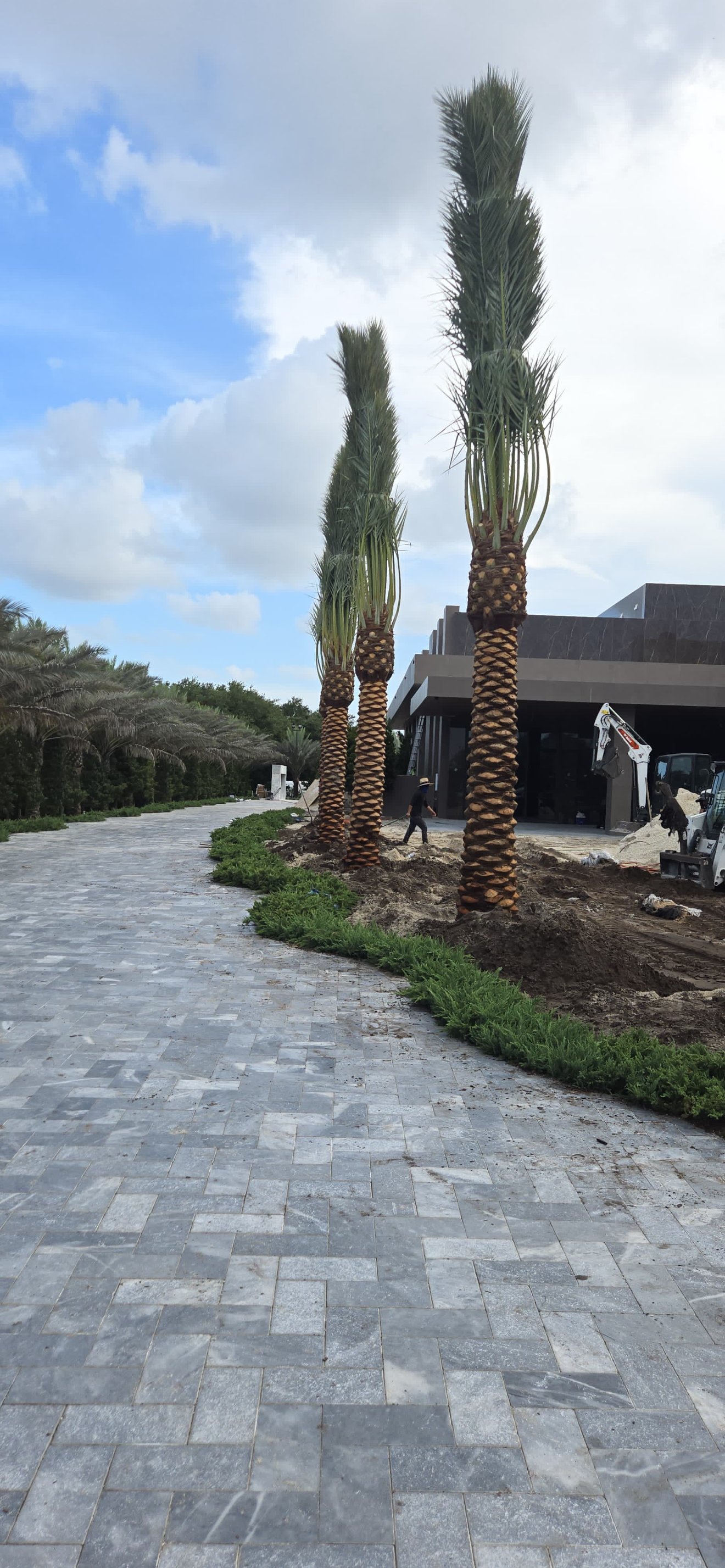 Modern paver walkway entry bordered by clean-lined landscape beds