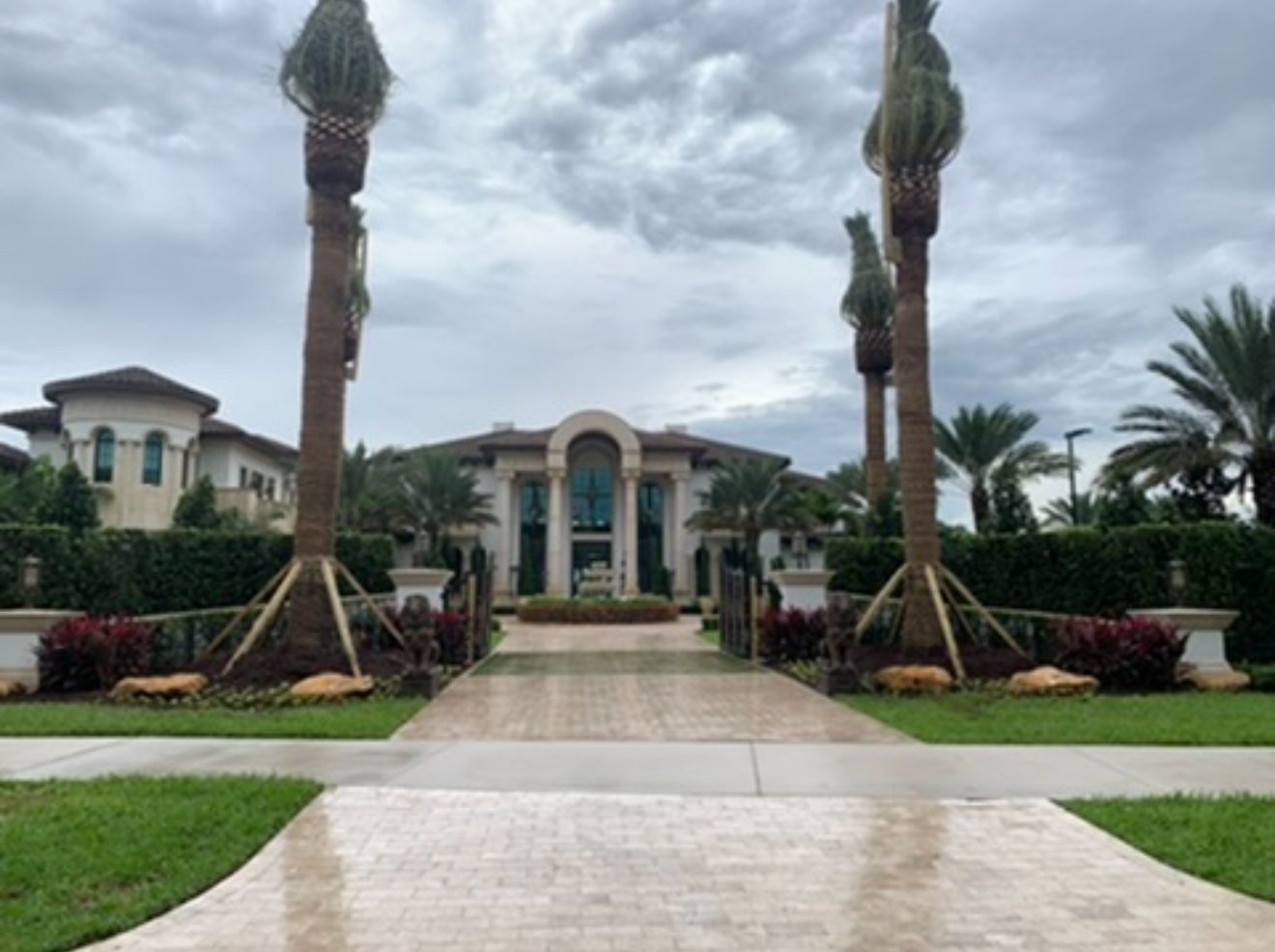 Tropical front yard landscaping with layered palms and lush groundcover in South Florida